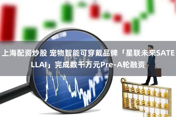 上海配资炒股 宠物智能可穿戴品牌「星联未来SATELLAI」完成数千万元Pre-A轮融资
